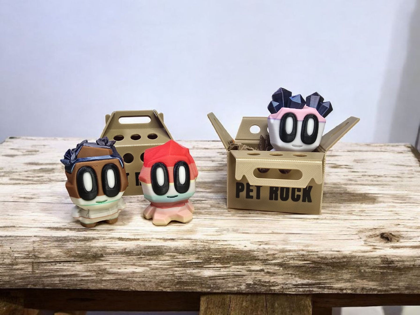 Mystery Pet Rocks