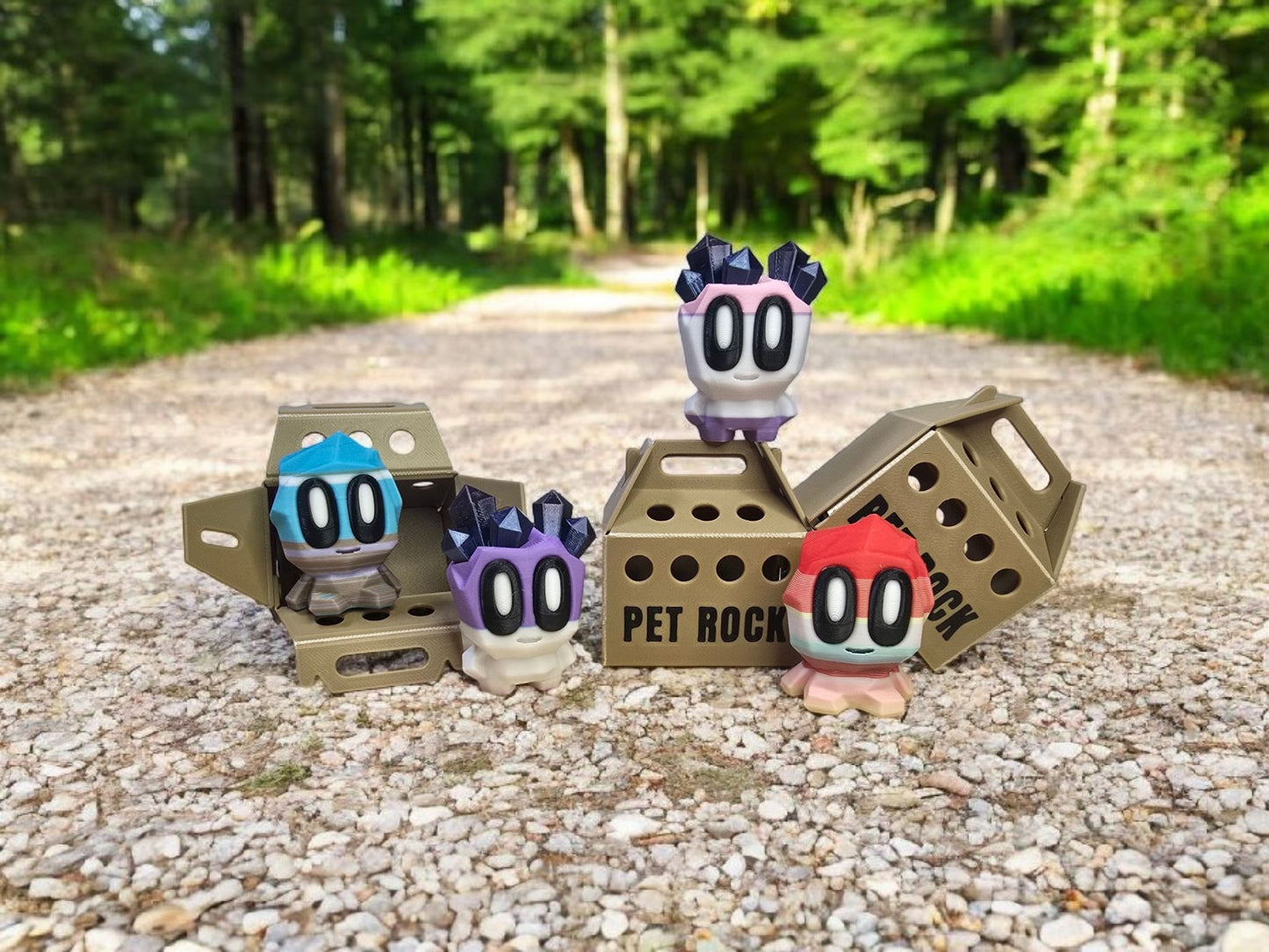 Mystery Pet Rocks